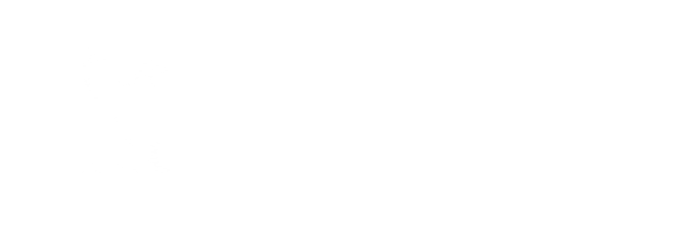 Orange Nebula